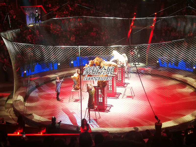 豪裕與您共同欣賞大馬戲