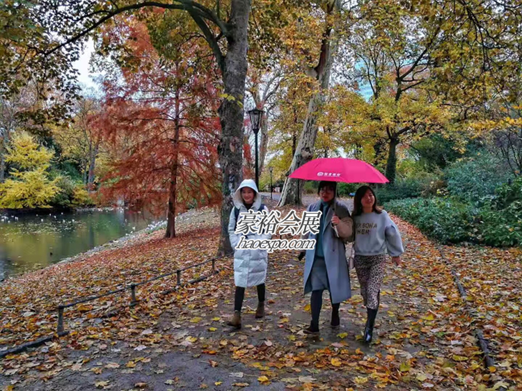 漫步杜塞爾多夫街道