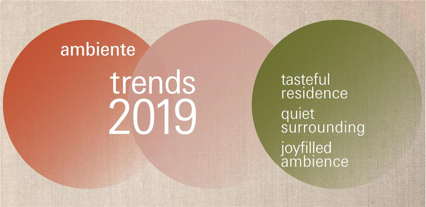 ambiente trends
