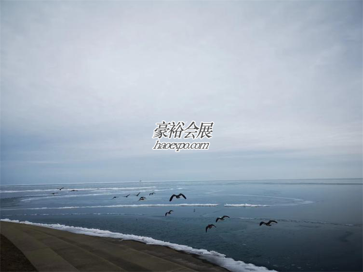 豪裕展團(tuán)暢游芝加哥